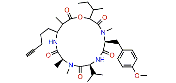 Guineamide C